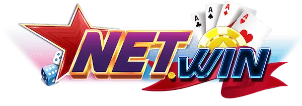 Netwin Logo